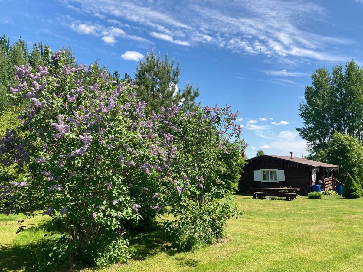 Pikkjaerve Puhkemaja Villa Tilsi Luaran gambar