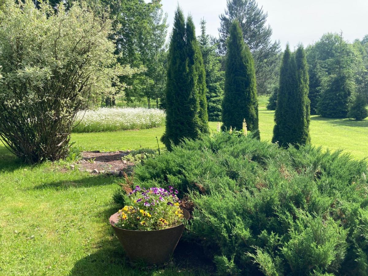 Pikkjaerve Puhkemaja Villa Tilsi Luaran gambar